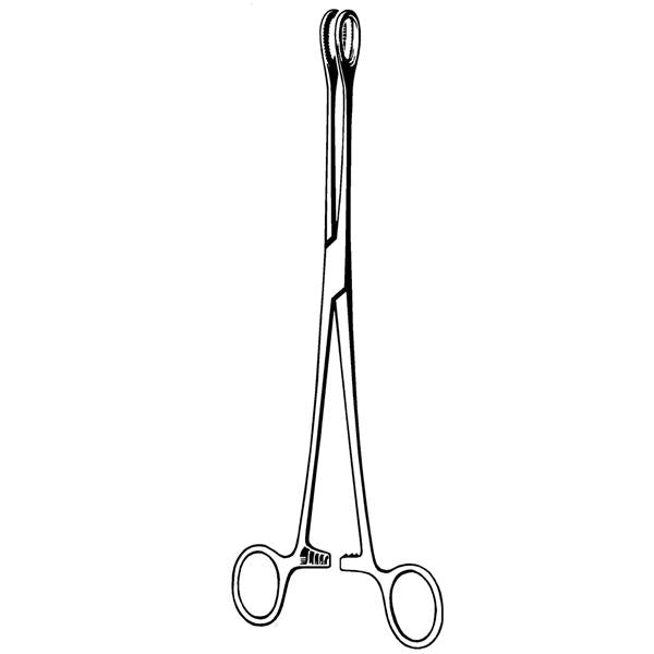 Abraders Sponge Foerster Econo 9.5